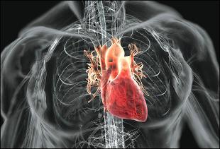 Sirds-asinsvadu slimības